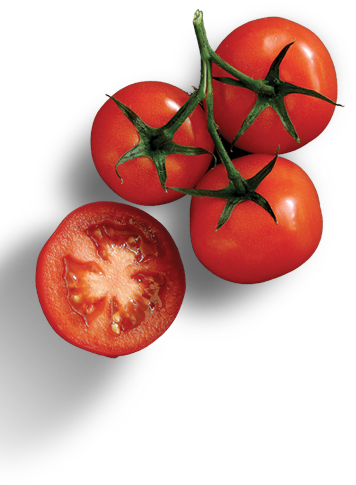 pomodori