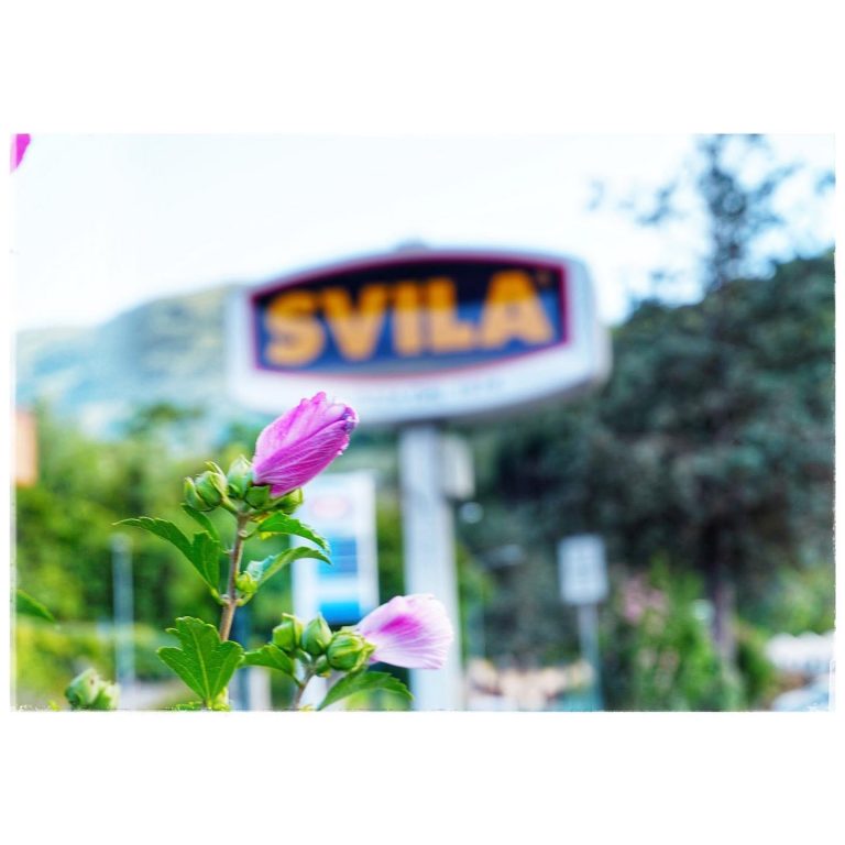 Sede a Visso della Svila